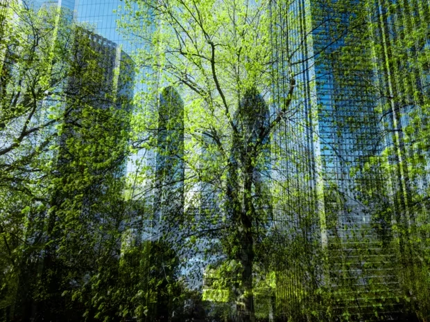 corporate sustainability reporting directive.jpg